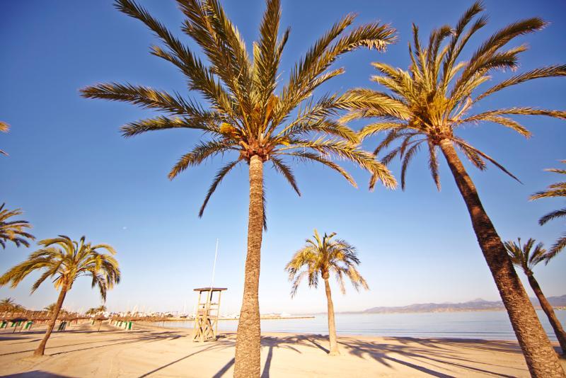Hotel Sahara Nubia Gobi Bay El Arenal  Zewnętrze zdjęcie